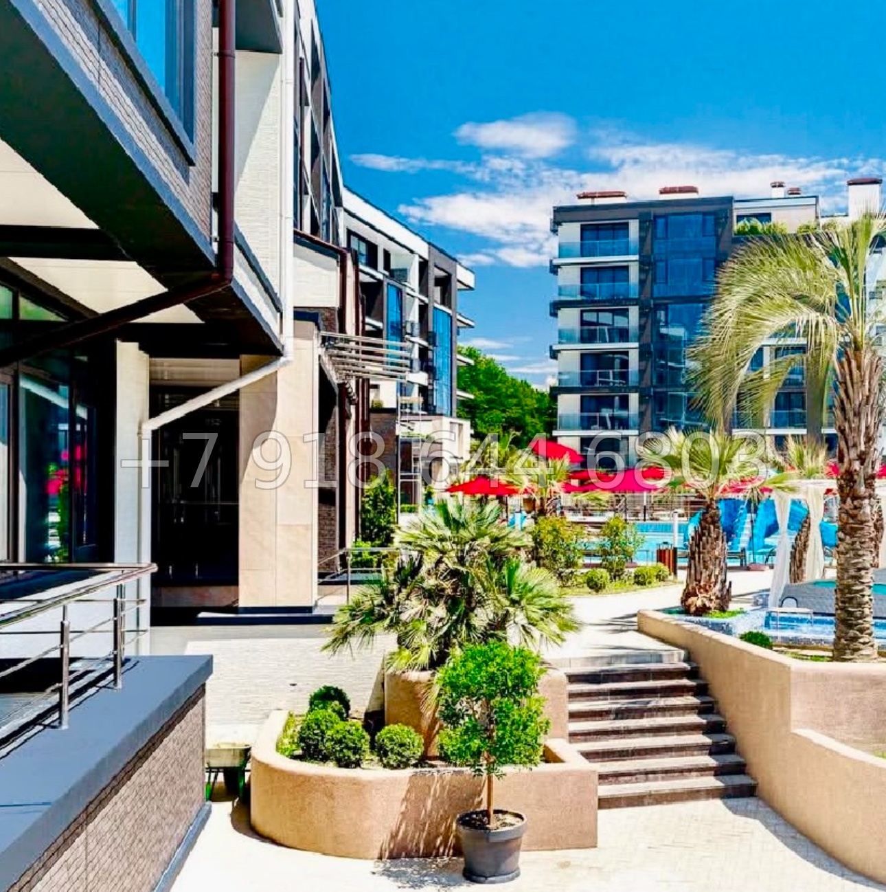 № 477 р. Квартира с видом на море в Сочи и с бассейном  - миниатюра 31