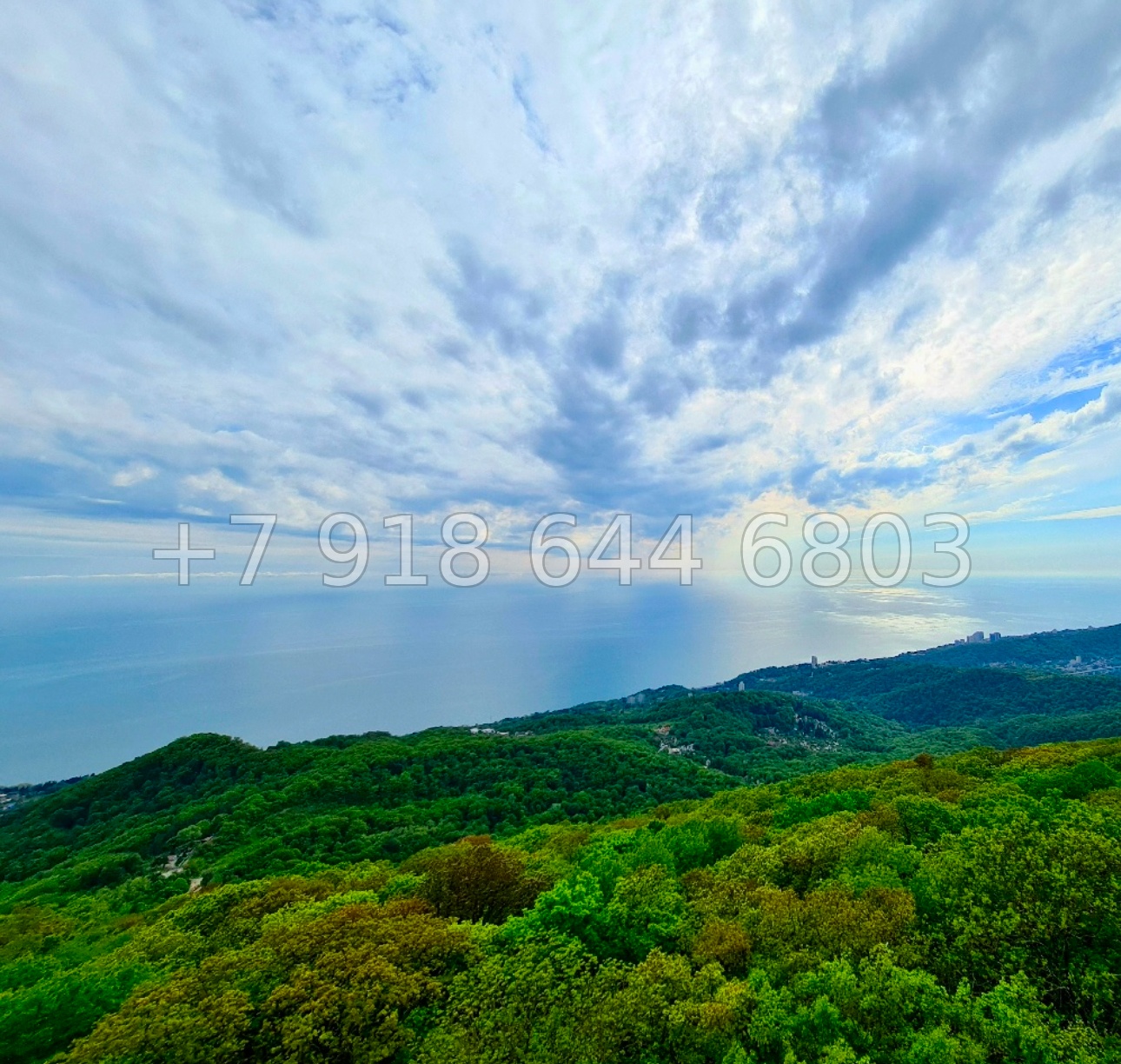 № 216 Б. Дом с бассейном в Сочи на горе Ахун - миниатюра 6