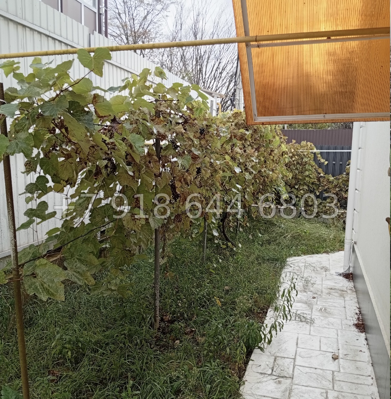 № 242 в. Дом с ремонтом в Адлере  - миниатюра 6