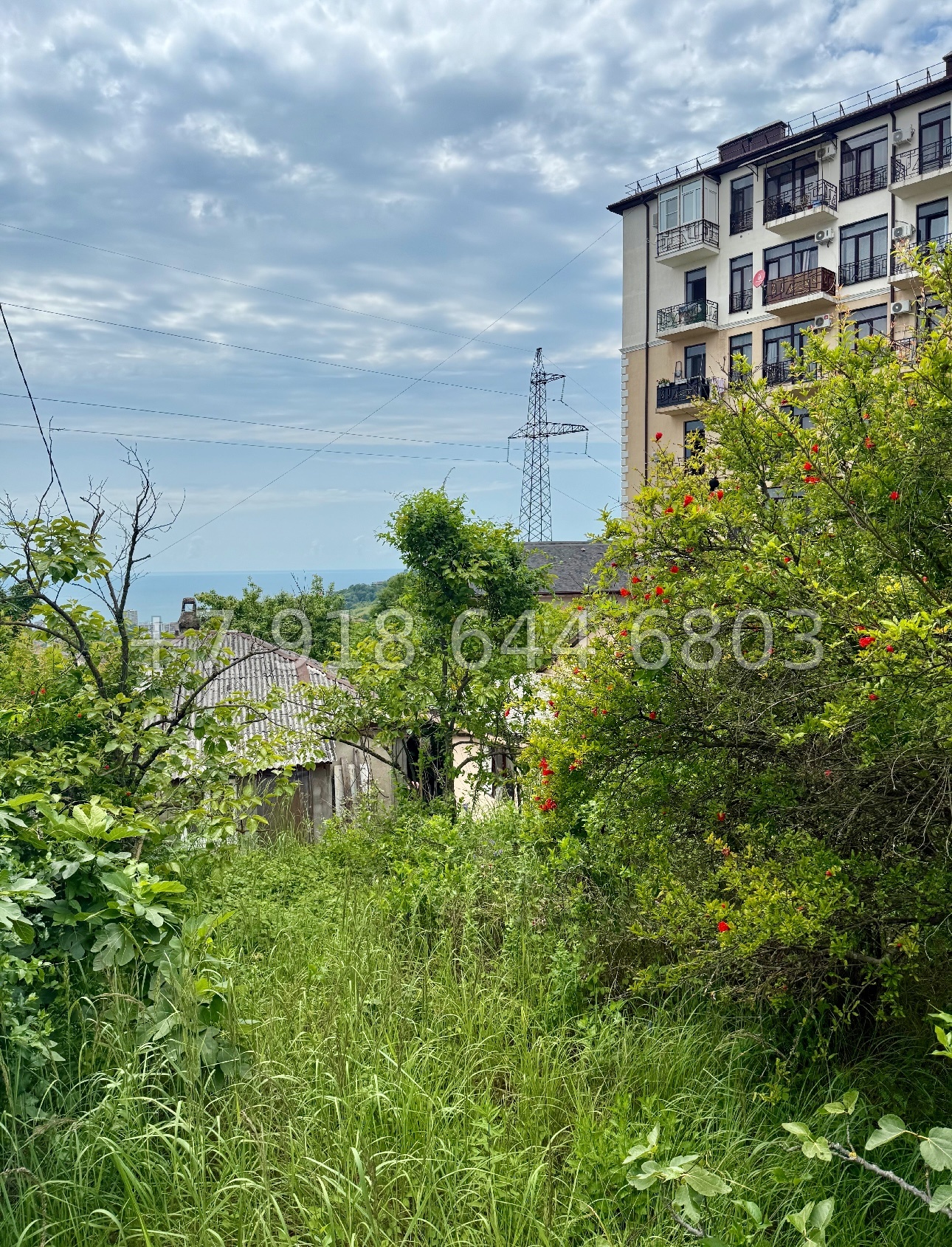 № 4у. Дом в Сочи  - миниатюра 13