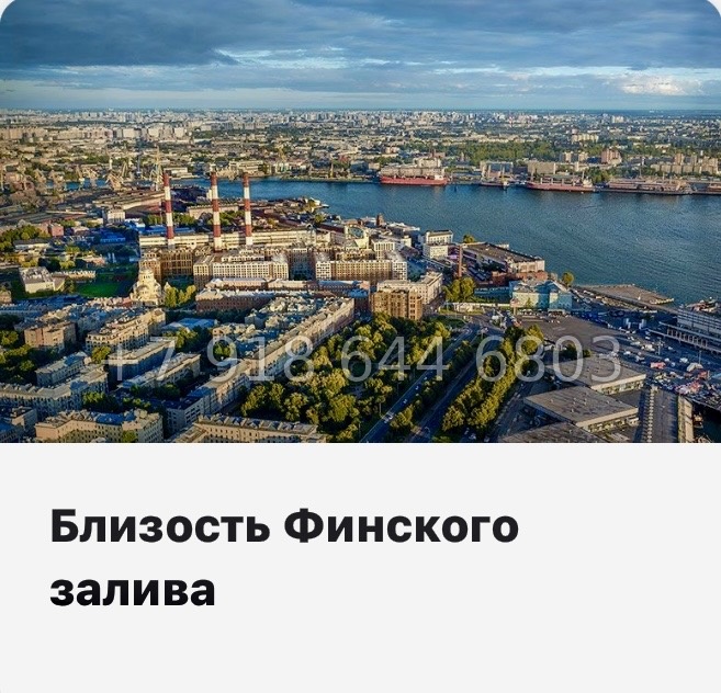 № 24 ы. Метро Горный Институт. ЖК Legenda Васильевского Санкт Петербург  - миниатюра 15