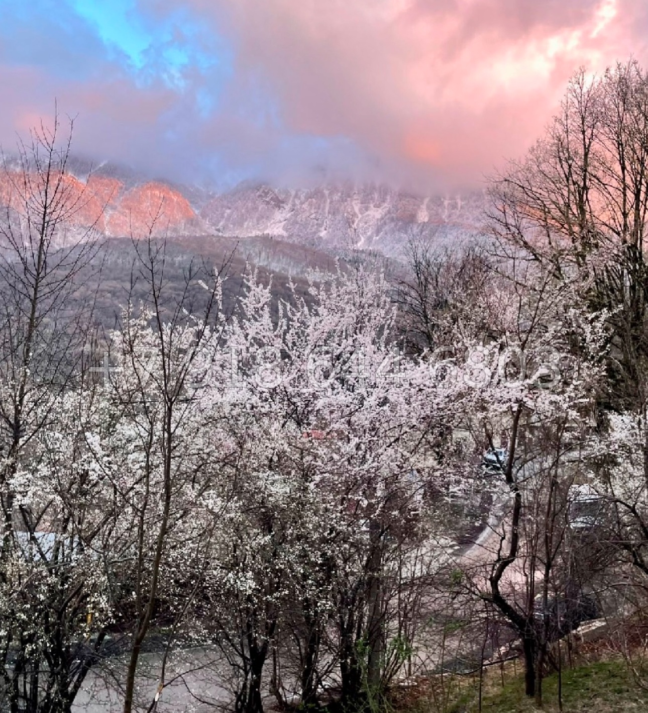 № 32 и двухкомнатная квартира на Красной Поляне  - миниатюра 28