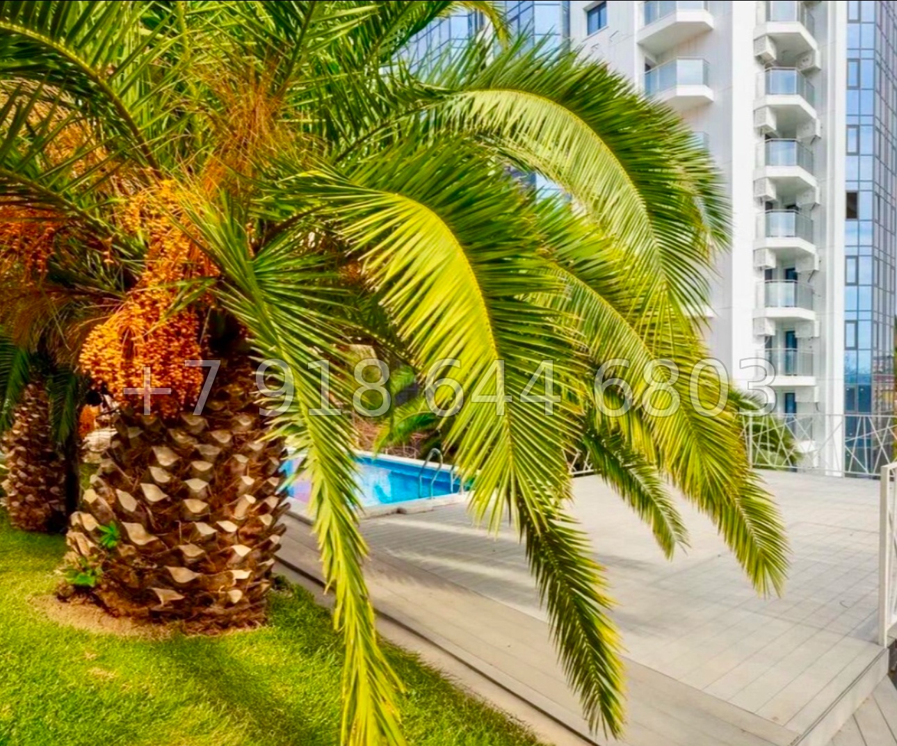 № 124 р. Квартира в Сочи. Дорогой ремонт  - миниатюра 13