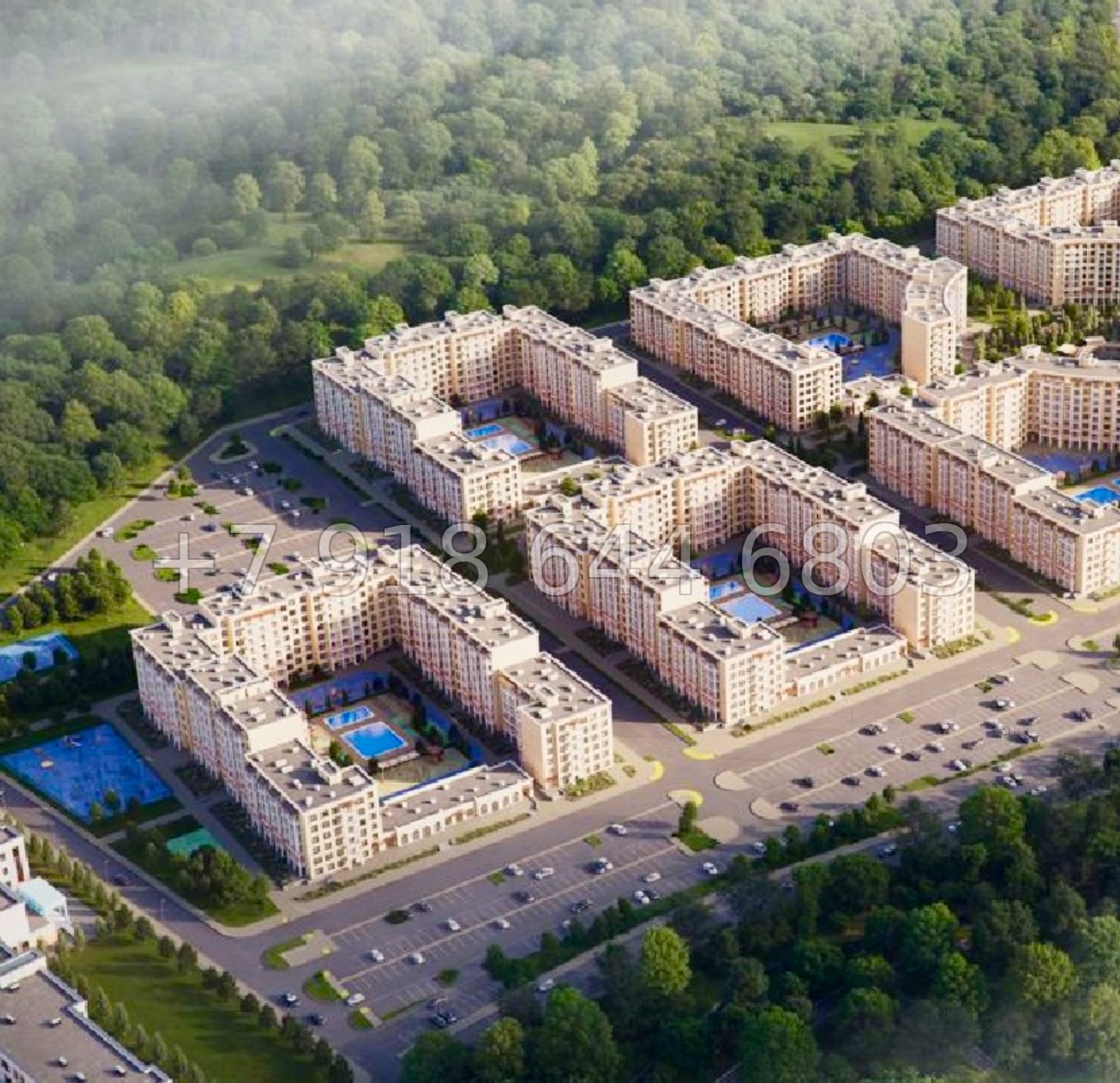 № 9. Анапа Кипарис - миниатюра 24
