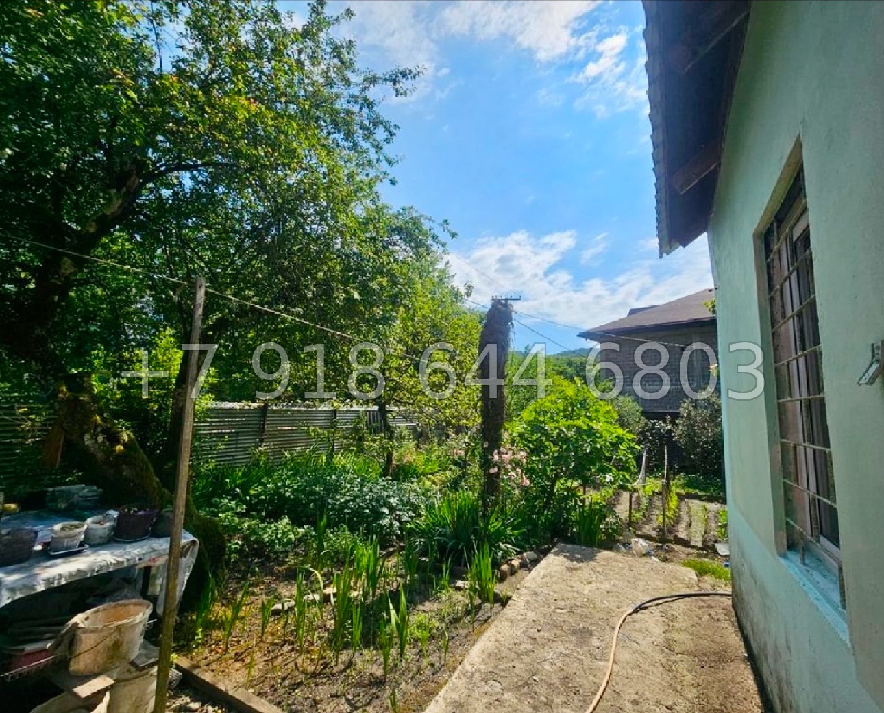№ 302. Дом в Сочи. Дача в Сочи  - миниатюра 3