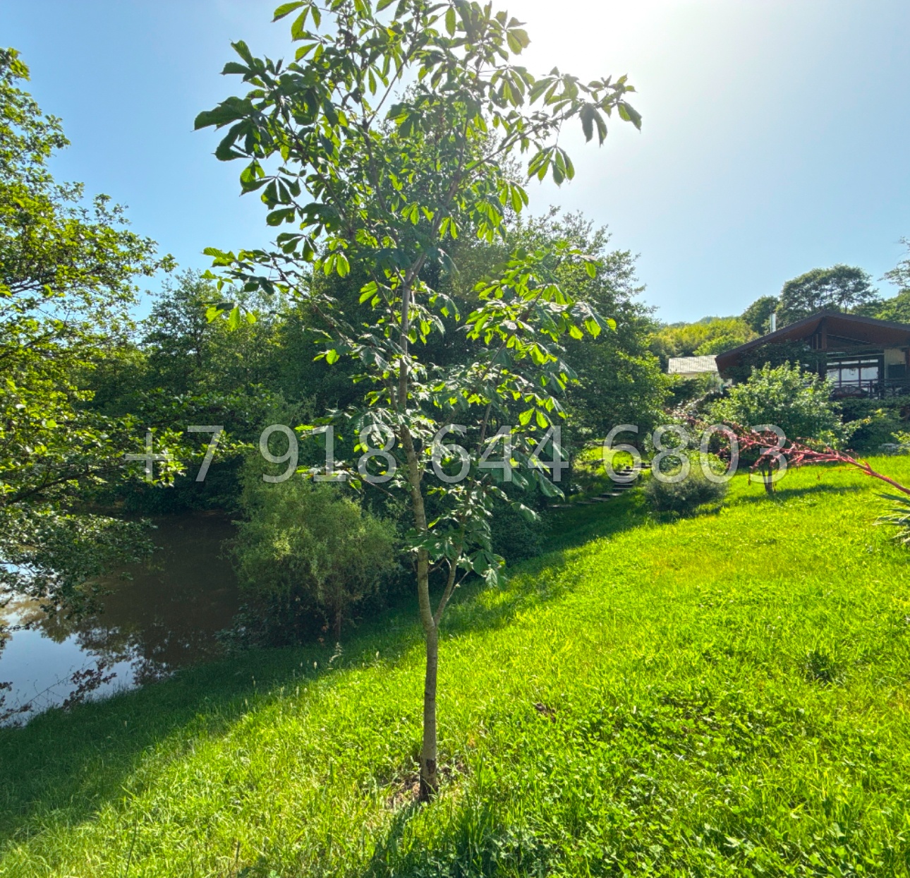 № 77 м. Дом в Сочи. 30 соток земли  - миниатюра 7