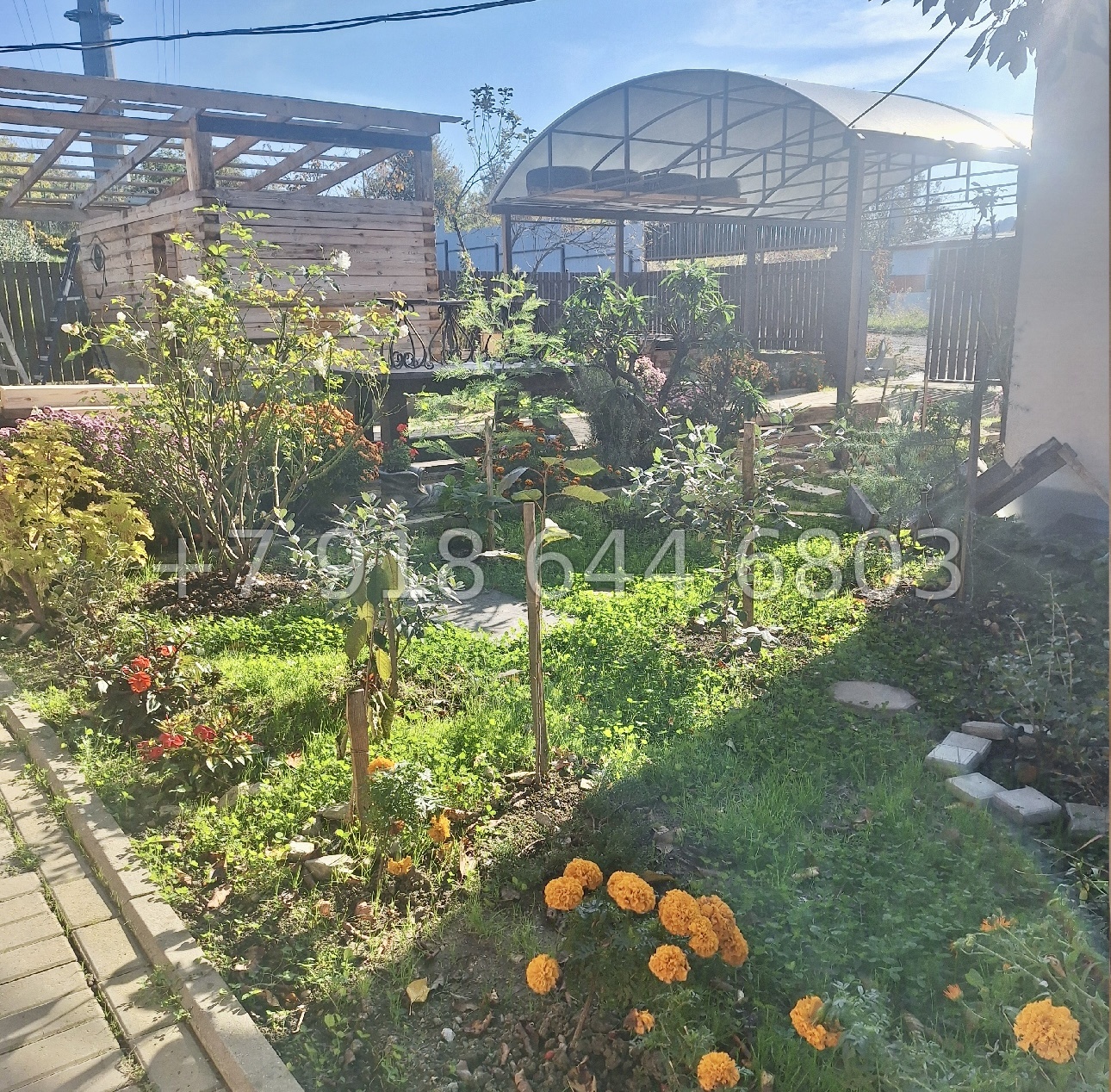 № 167 А. Два дома за одну цену. Дом в Сочи Дагомыс  - миниатюра 5