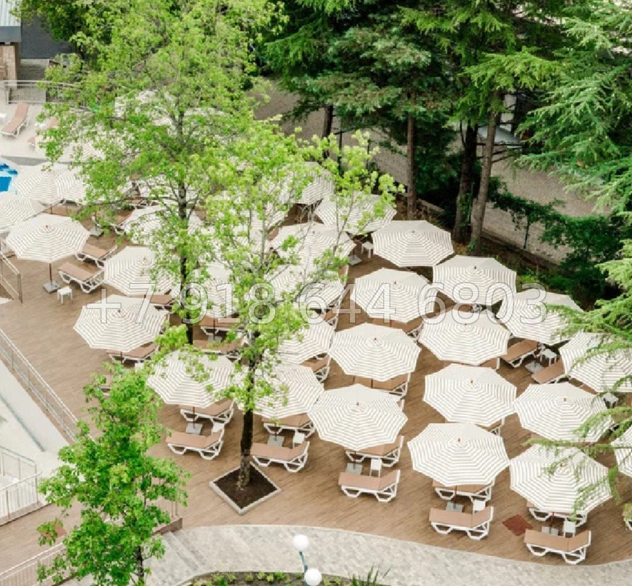 № 60 ш. Апартаменты со своим бассейном и пляжем в Сочи  - миниатюра 10