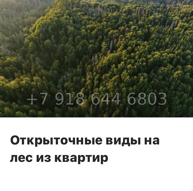 № 72 в. Метро Проспект Ветеранов.ЖК Тишин  - миниатюра 4