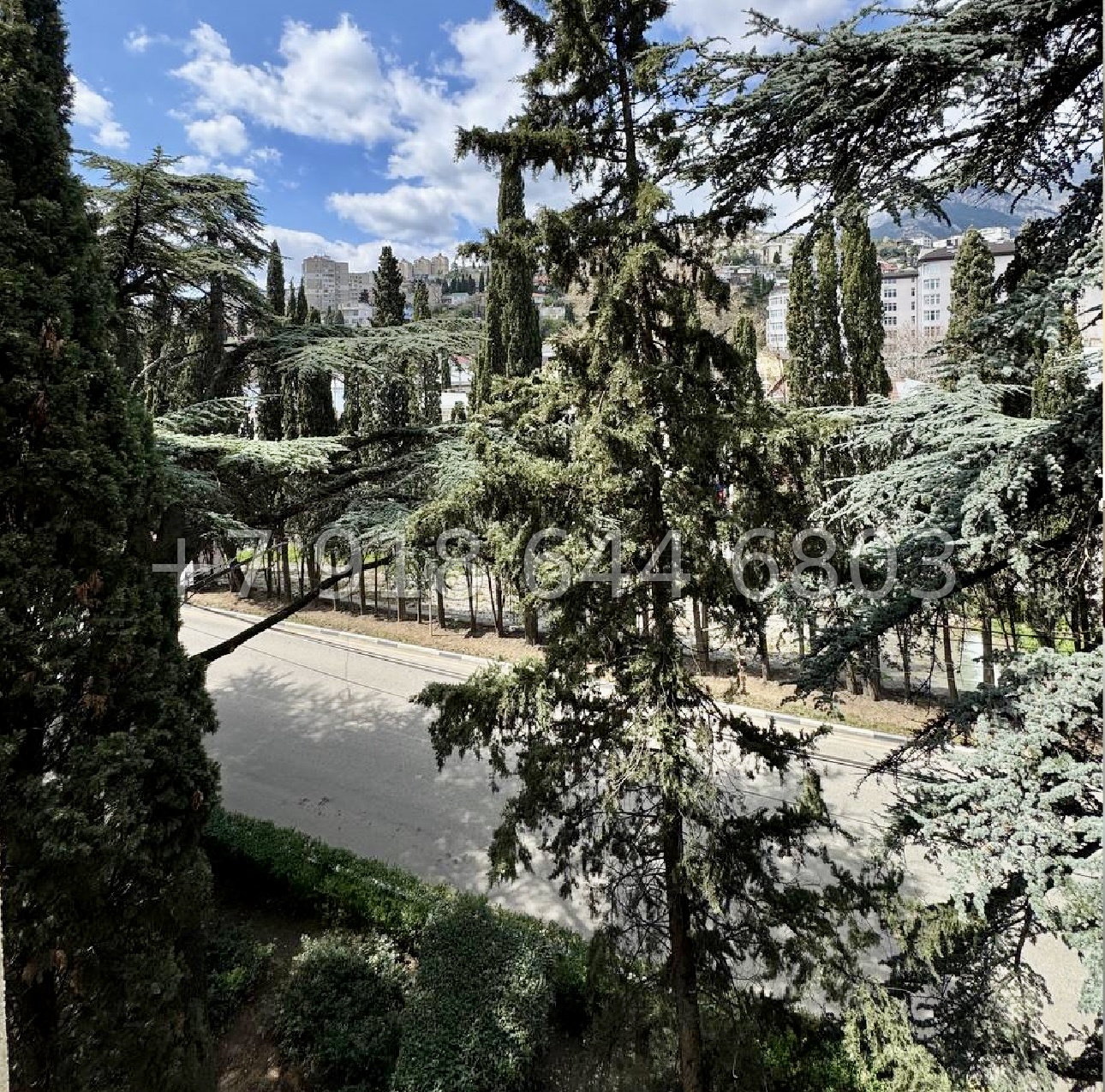 № 5г. Квартира в центре Ялты. Новый ремонт  - миниатюра 6