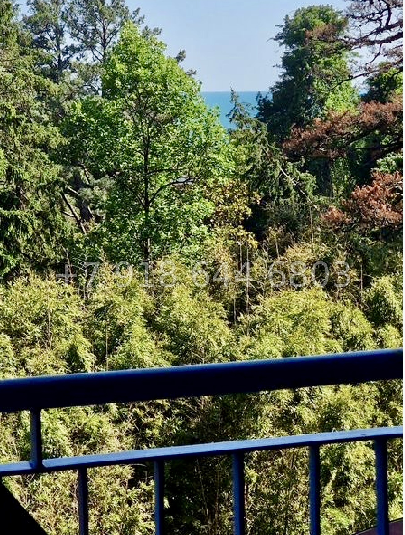 № 27е. Квартира у Дендрария в Сочи. ЖК Новая Александрия Сочи  - миниатюра 22