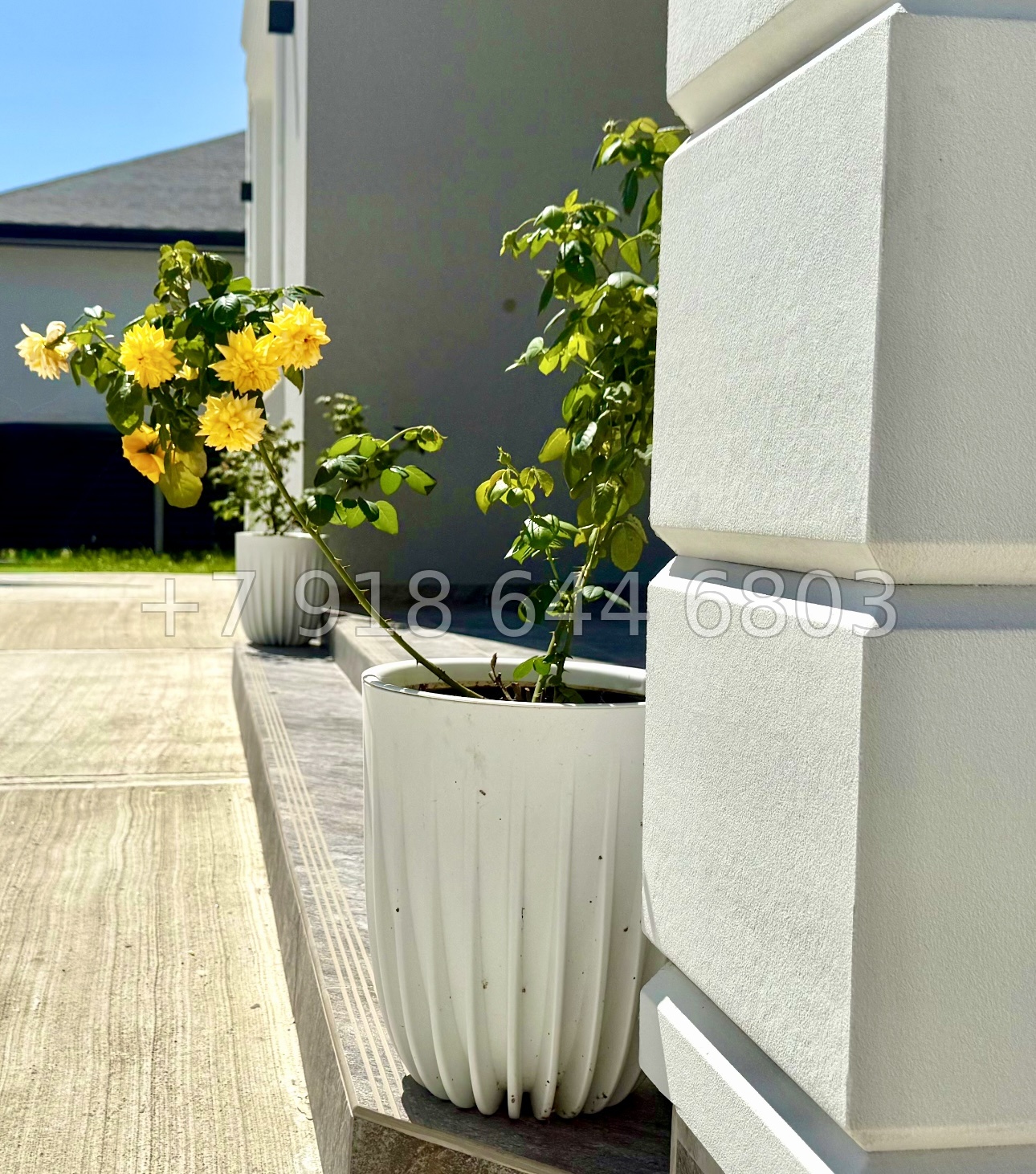 № 12 А. Дом с видом на море в Адлере  - миниатюра 7