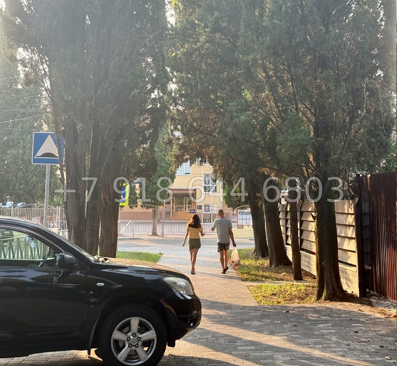 № 5у. Два участка земли в Сириусе  - миниатюра 6