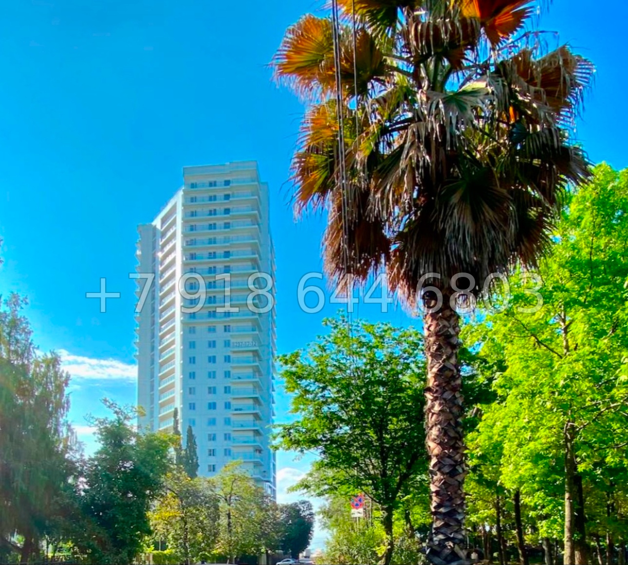 № 43 е. Квартира в ЖК Панорама Парк Сочи  - миниатюра 27