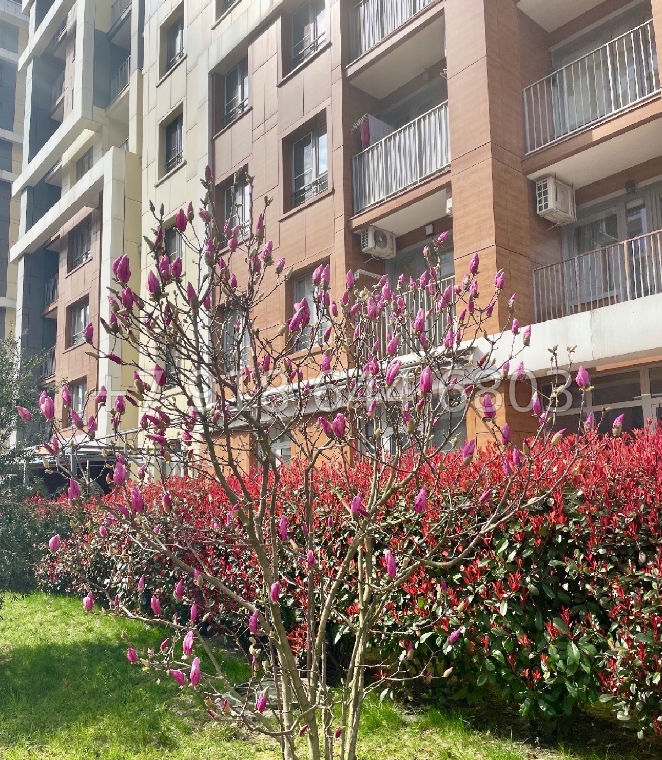 № 506 р. ЖК Каравелла Португалии Сочи Дагомыс  - миниатюра 20