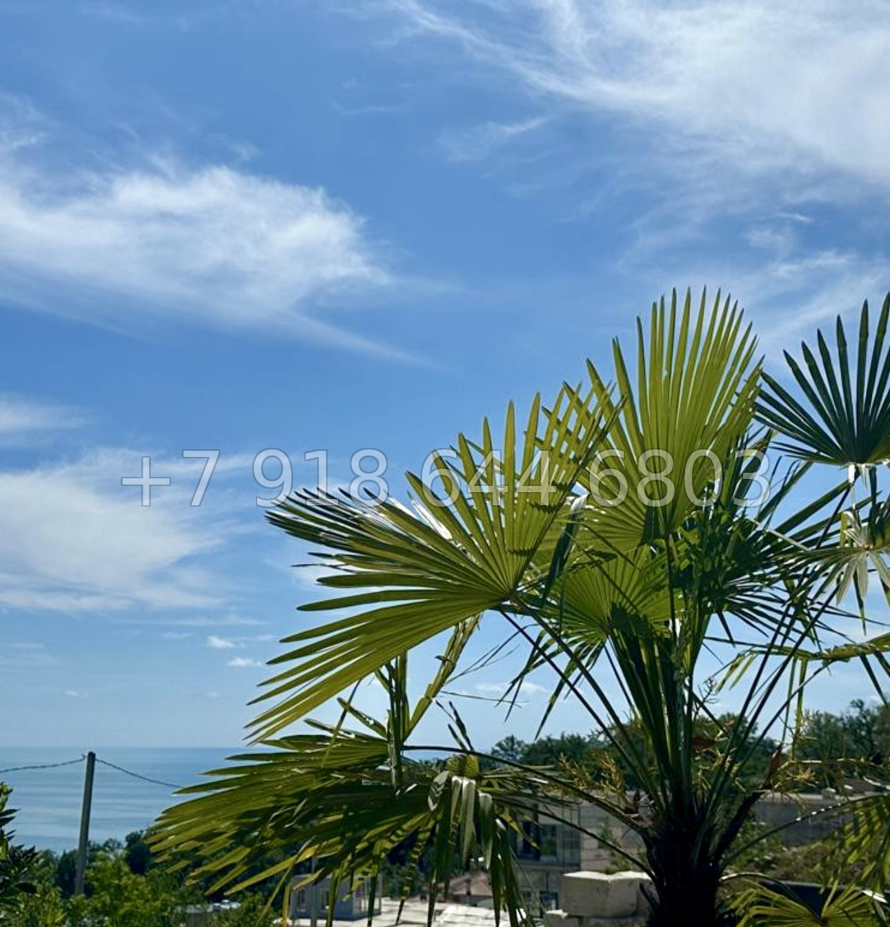 № 18 В. Два роскошных дома с бассейном и с прямым видом на море в Сочи  - миниатюра 10