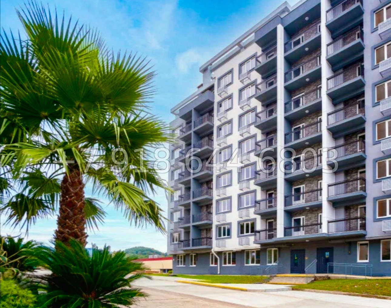 № 79р. Квартира в Адлере. В новом доме. Рядом школа и море - миниатюра 7