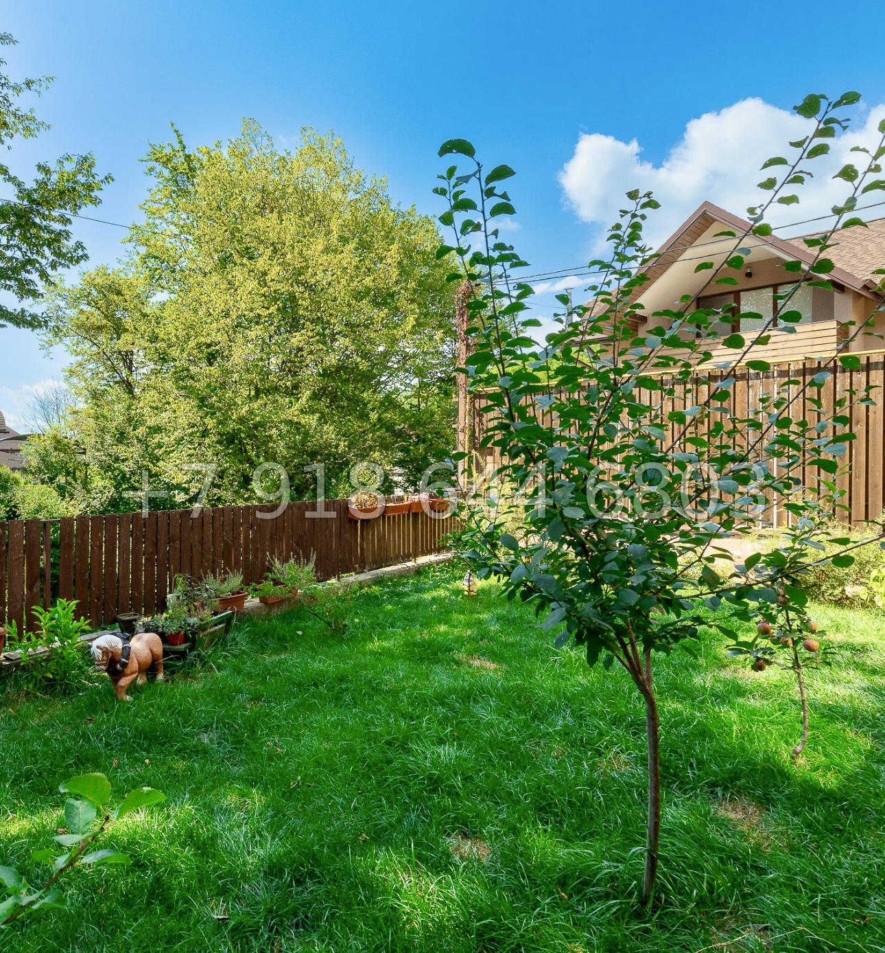 35 А. Дом с ремонтом в Сочи  - миниатюра 12