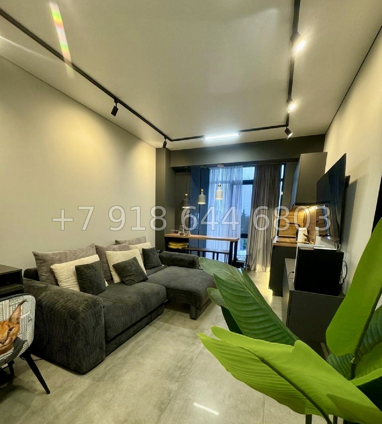 № 128 р. Квартира в центре города Сочи  - миниатюра 3