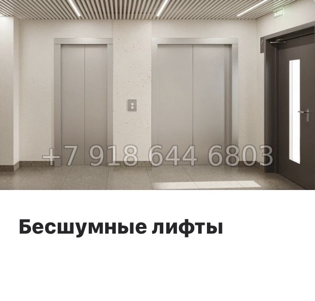 № 84 в. Метро Парнас. ЖК Dogma. Юкки - миниатюра 21