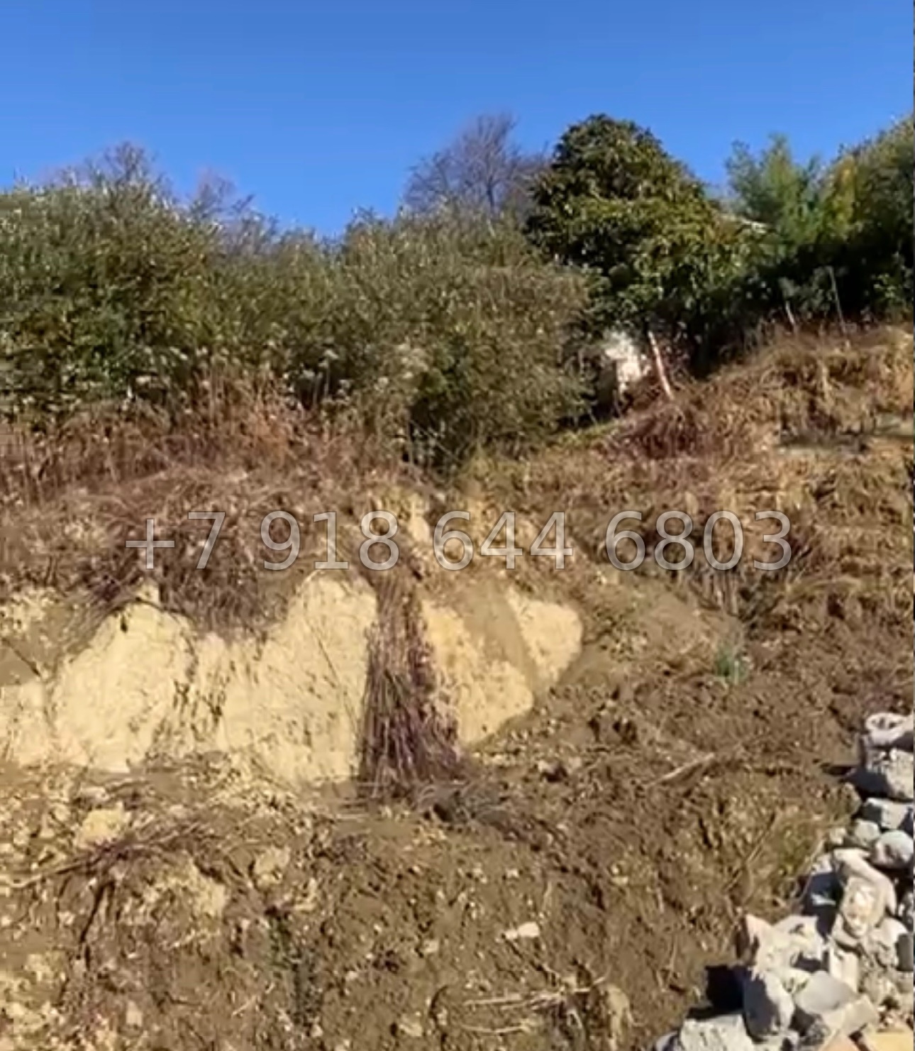 № 15 у. Земля в Адлере  - миниатюра 2