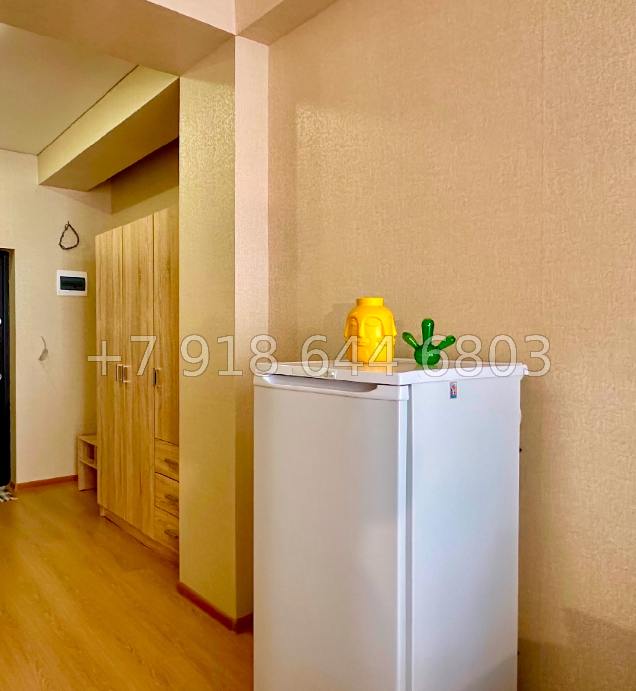 № 50п. Квартира в Адлере. Небольшая, но хорошая для сдачи и отдыха  - миниатюра 13