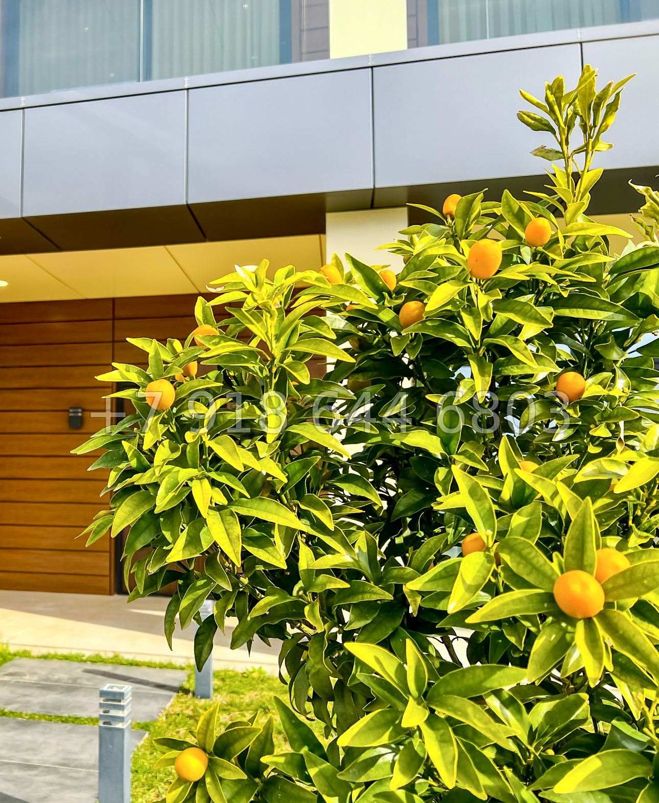 № 7 Д. Дом с ремонтом в Сочи  - миниатюра 50