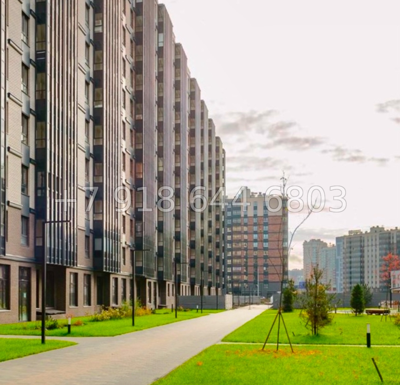 № 133. Метро Дыбенко.  Санкт-Петербург - миниатюра 30