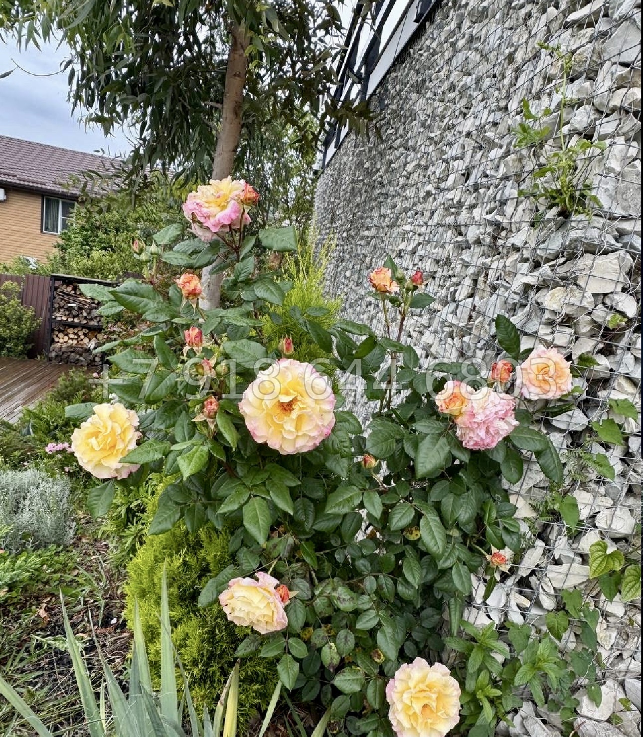 № 110 А. Дом с ремонтом в Адлере  - миниатюра 6