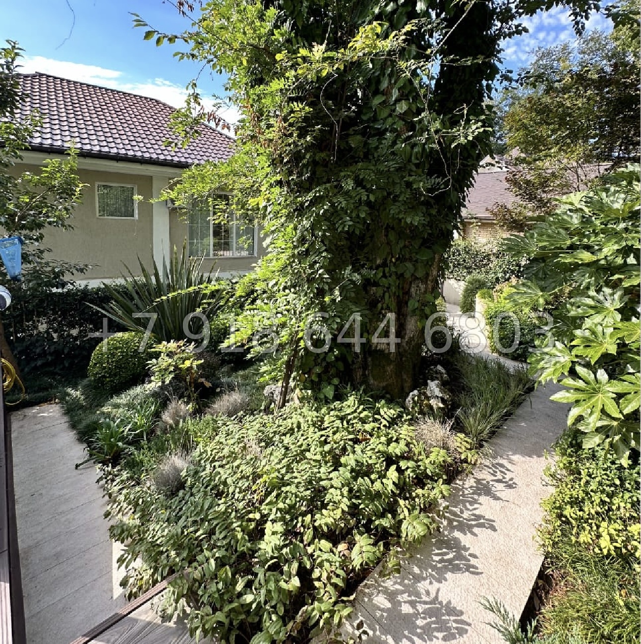 № 186 Б. Дом с ремонтом на Мацесте в Сочи  - миниатюра 10