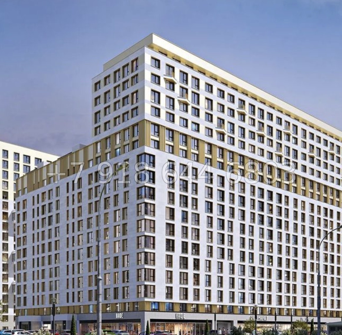 № 2 ы. Метро Девяткино. ЖК Максималист - миниатюра 3