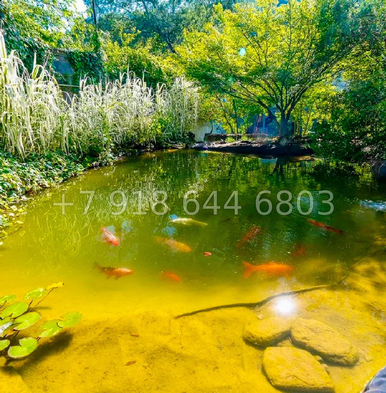 № 59 в. Дом с прудом в Сочи на Мацесте - миниатюра 19