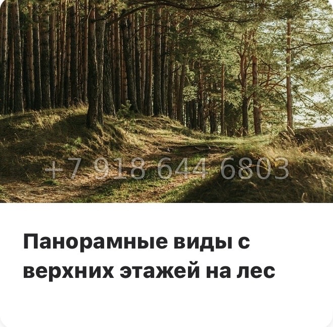 № 84 в. Метро Парнас. ЖК Dogma. Юкки - миниатюра 20