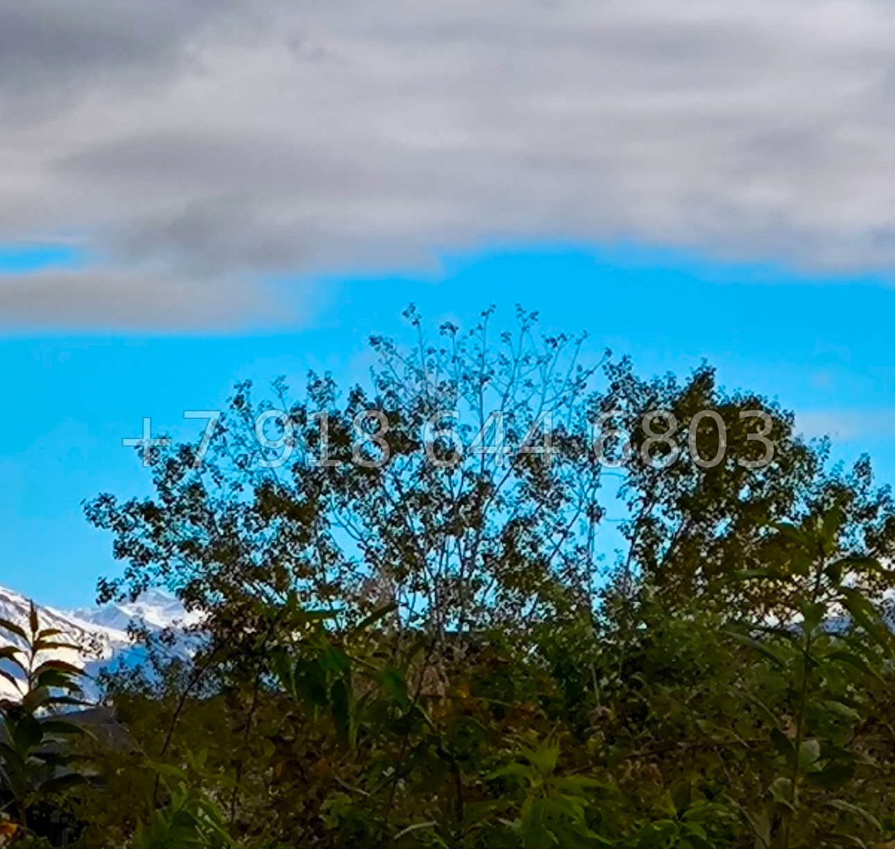 № 2у. Земля в Сириусе  - миниатюра 6