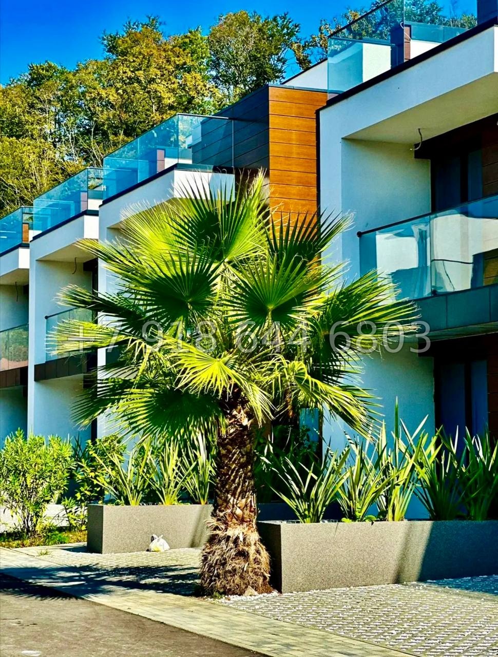 № 4 А. Таунхаус в Адлере  - миниатюра 6