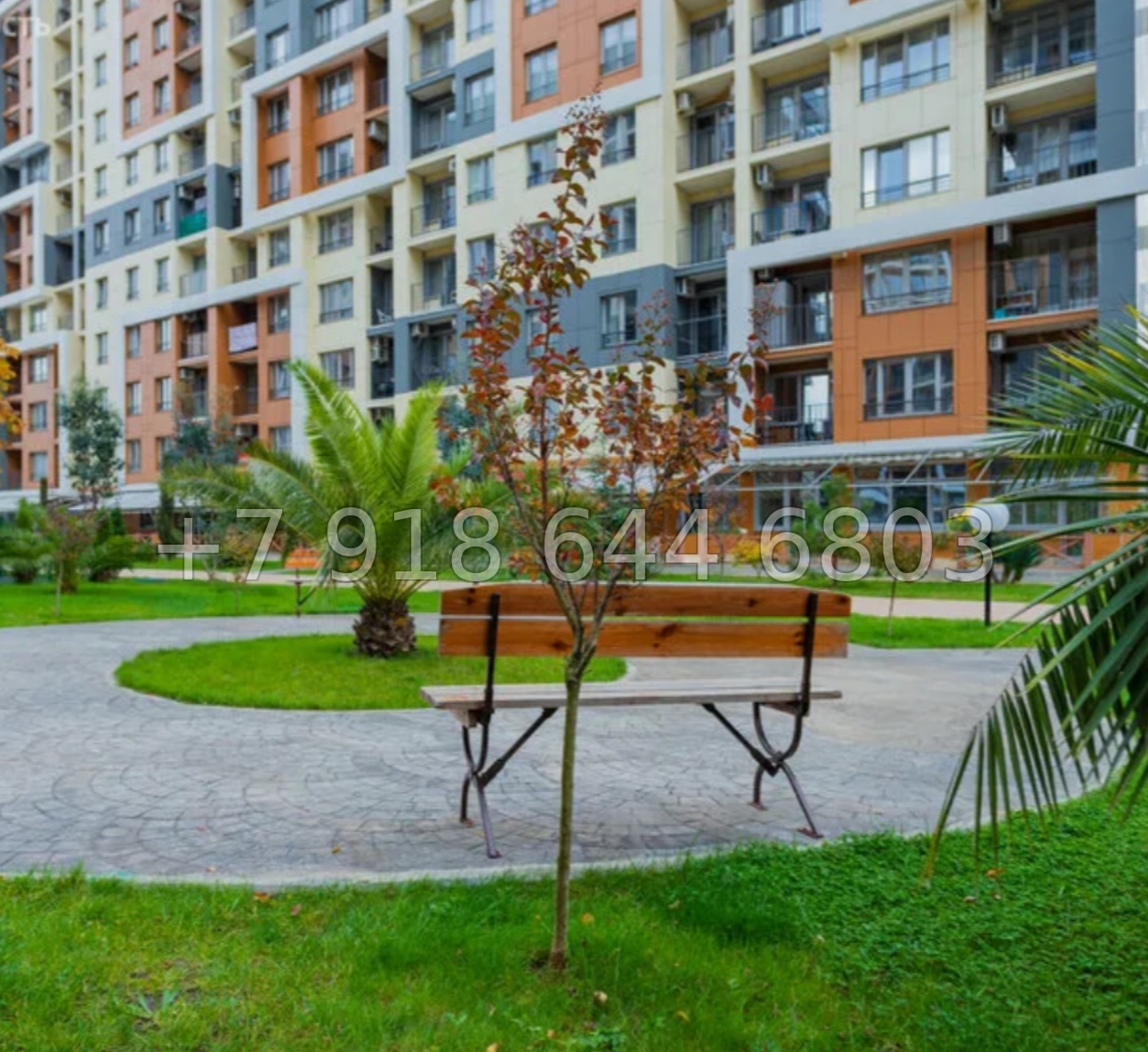 № 312 р. Квартира у моря в Сочи Каравелла Португалии  - миниатюра 25