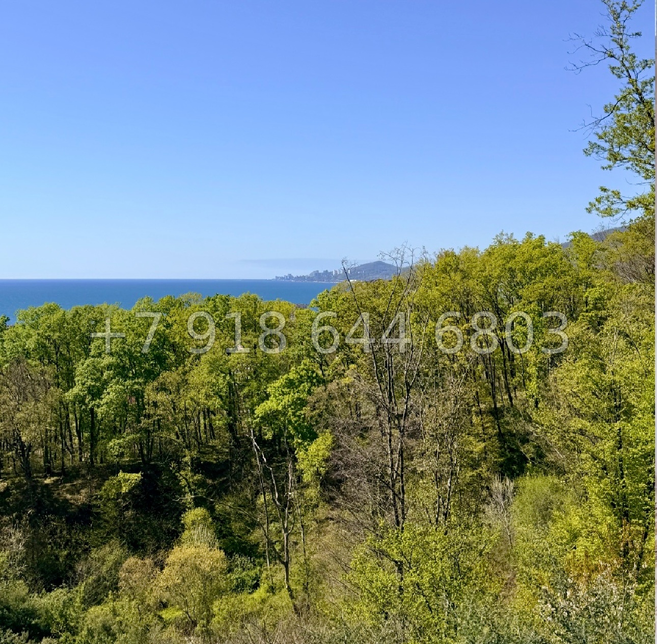 № 536 р. Квартира в Адлере  - миниатюра 6