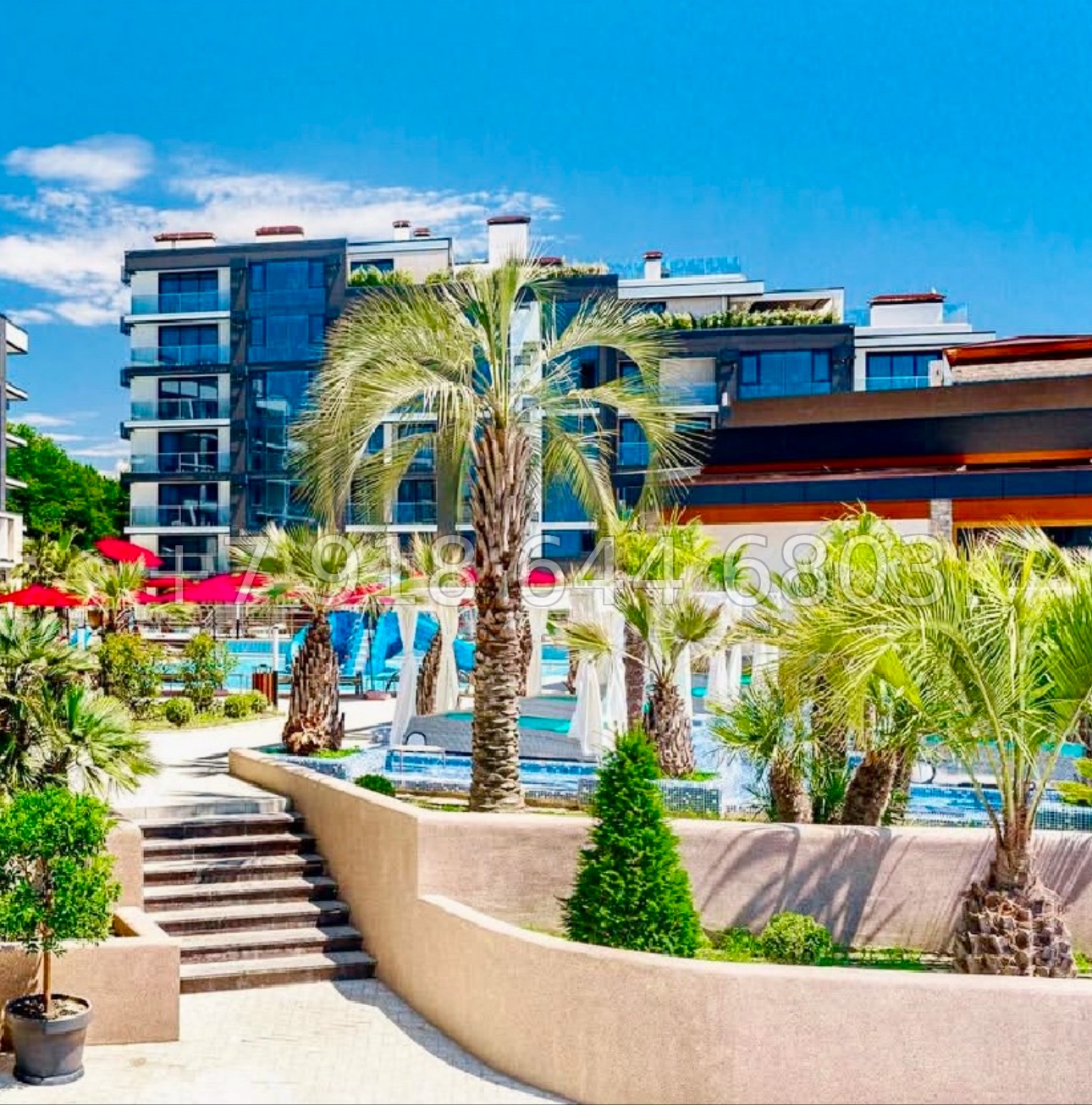 № 477 р. Квартира с видом на море в Сочи и с бассейном  - миниатюра 17