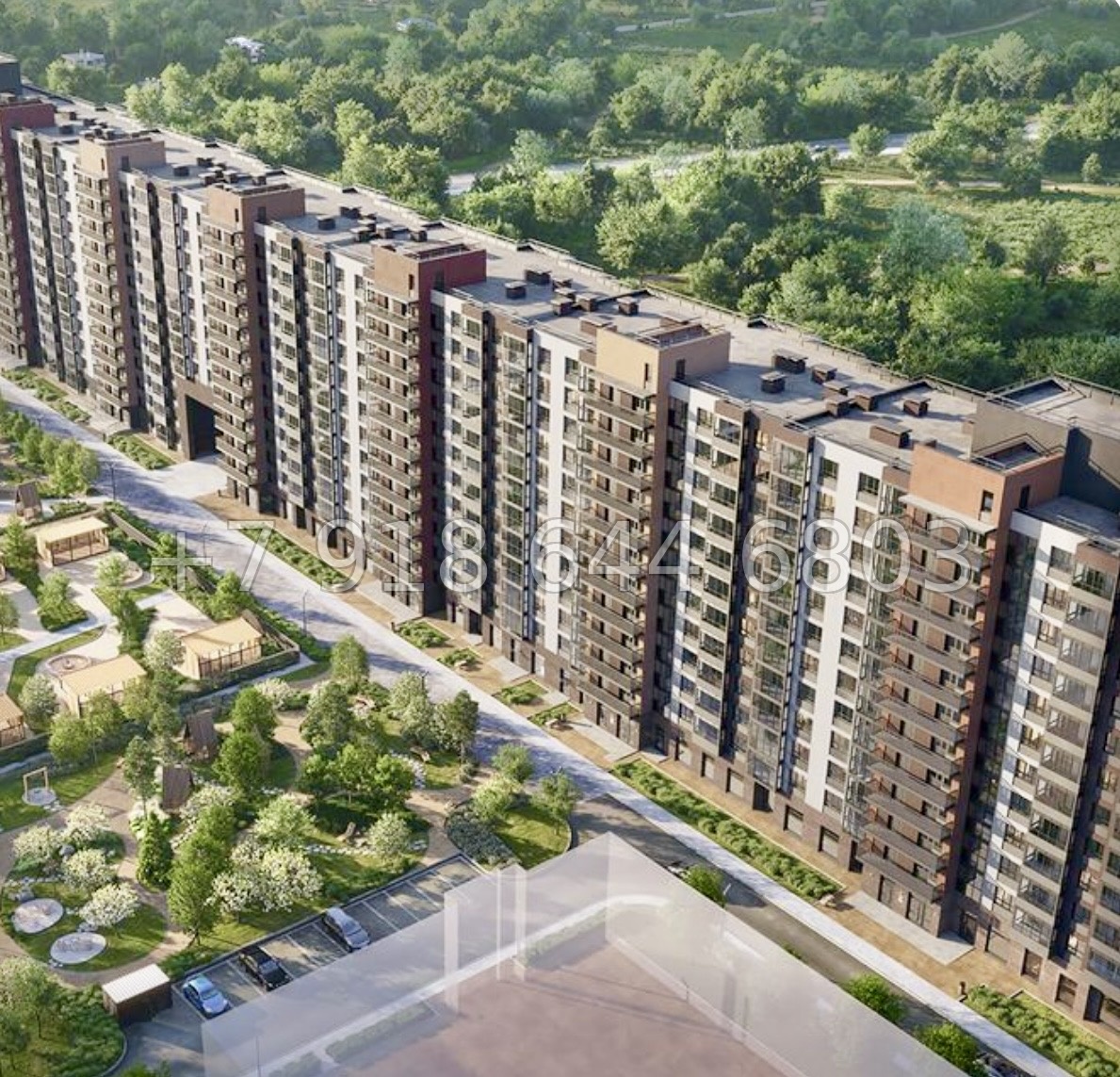 № 84 в. Метро Парнас. ЖК Dogma. Юкки - миниатюра 6