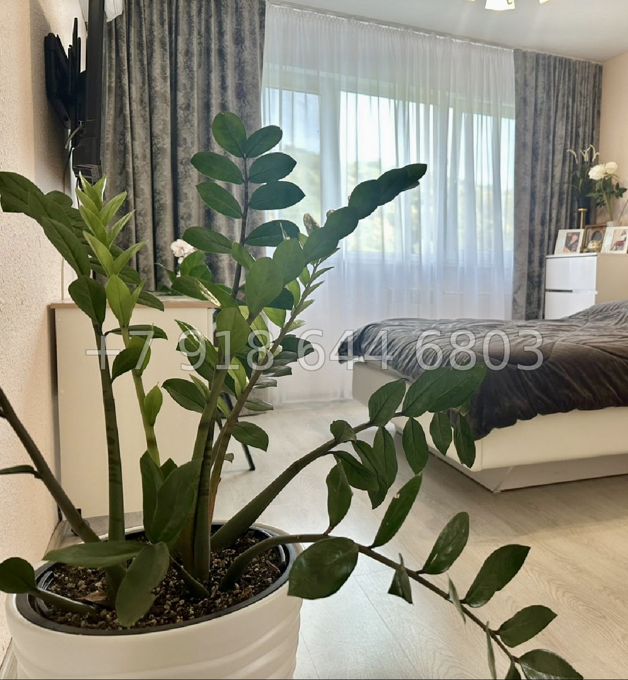 № 12п. Квартира с ремонтом в Сочи. Тихое место для жизни  - миниатюра 13