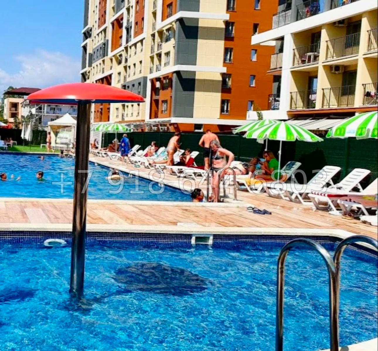 № 463 р. Квартира у моря в Сочи Дагомысе  - миниатюра 11