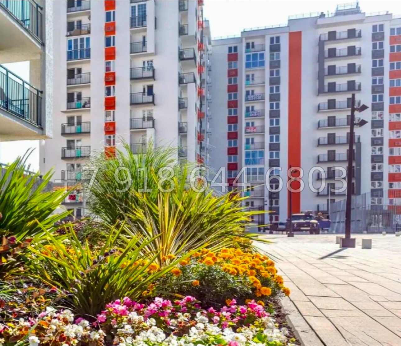 № 138 р. Квартира в Сириусе ЖК Фрукты  - миниатюра 15