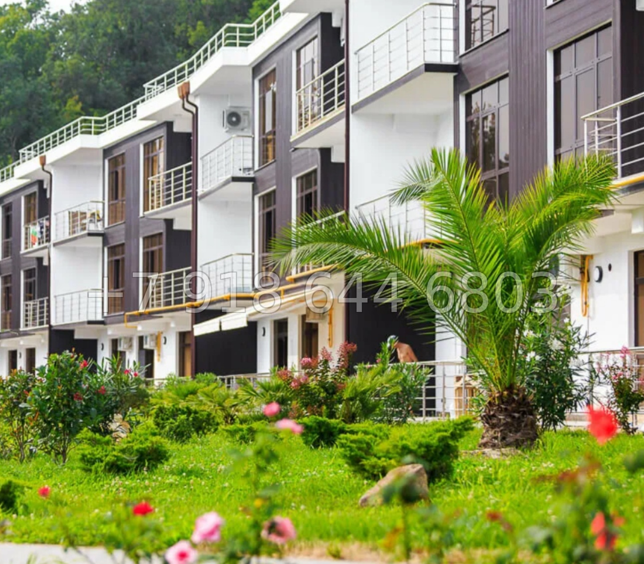 № 477 р. Квартира с видом на море в Сочи и с бассейном  - миниатюра 4