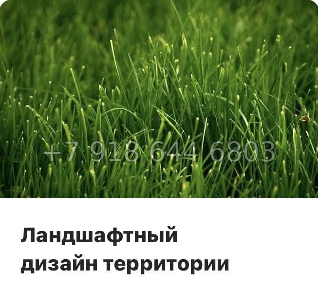 № 21 ы. Метро Парнас. ЖК ВЕРЕН НОРТ Сертолово - миниатюра 6