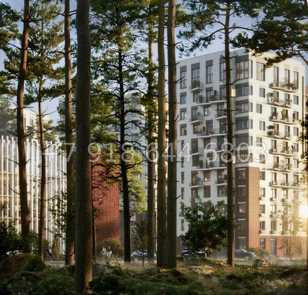 № 21 ы. Метро Парнас. ЖК ВЕРЕН НОРТ Сертолово - миниатюра 5