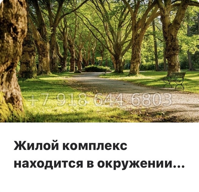 № 81 в. Метро Парнас. ЖК Панорама Юкки  - миниатюра 15