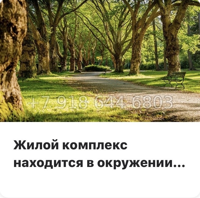 № 91 в. Метро Парнас. ЖК Финский квартал.  - миниатюра 22