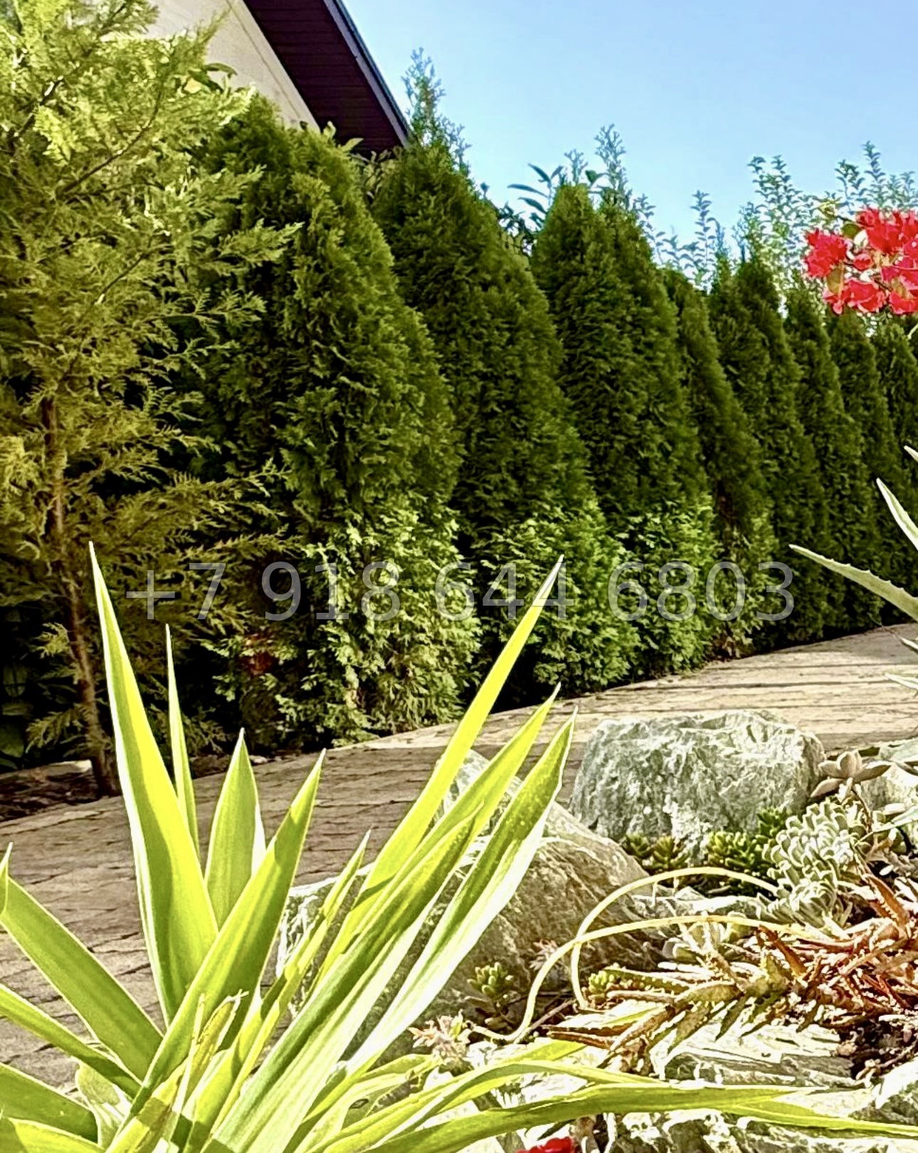 № 2 В. Дом с бассейном в Адлере  - миниатюра 13