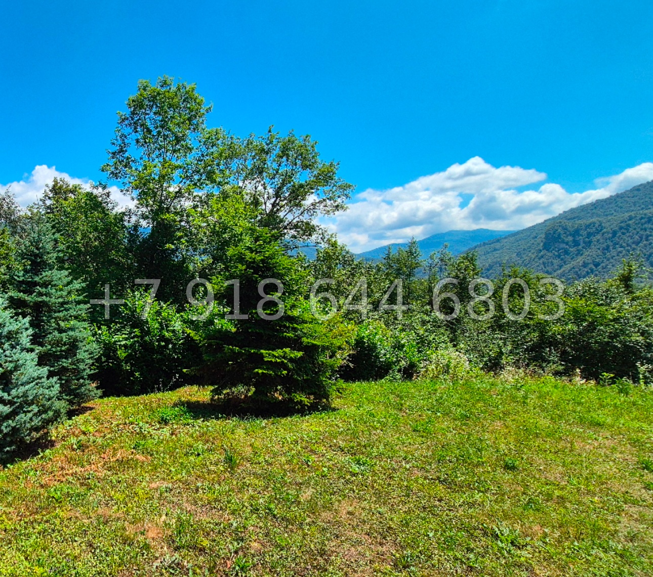 № 41 п. Дом в Медовеевке недалеко от Красной Поляны - миниатюра 4