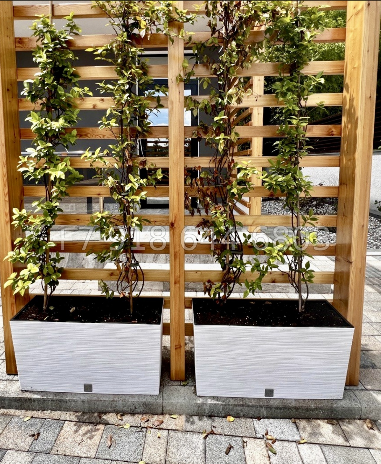 № 18 Б. Дом с бассейном в Адлере  - миниатюра 12